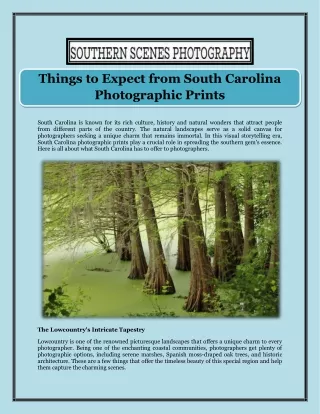 Things to Expect from South Carolina Photographic Prints