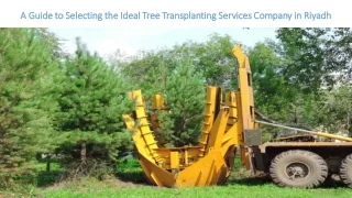 A Guide to Selecting the Ideal Tree Transplanting Services Company in Riyadh