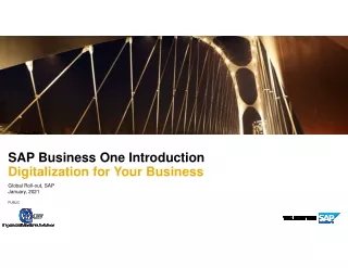 SAP_Business_One_