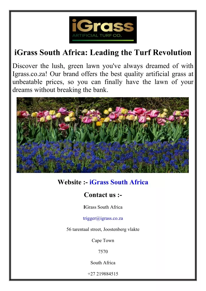 igrass south africa leading the turf revolution