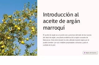 Aceite De Marruecos | karseell