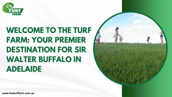 welcome to the turf farm your premier destination