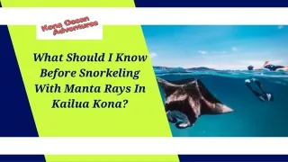 What Should I Know Before Snorkeling With Manta Rays In Kailua Kona
