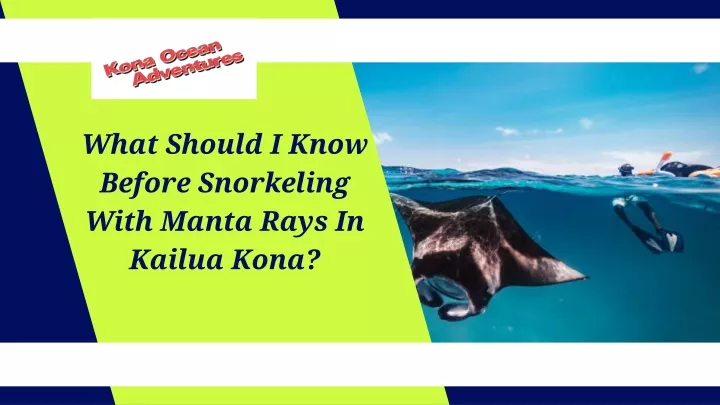 what should i know before snorkeling with manta