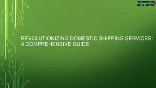 Revolutionizing Domestic Shipping Services: A Comprehensive Guide