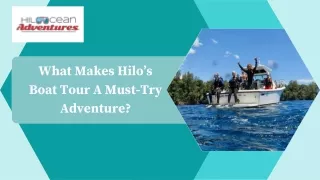 What Makes Hilo’s Boat Tour A Must-Try Adventure