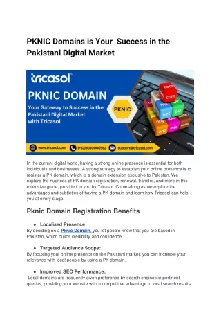 PKNIC Domains is Your  Success in the Pakistani Digital Market