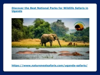 Discover the Best National Parks for Wildlife Safaris in Uganda