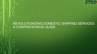 Revolutionizing Domestic Shipping Services: A Comprehensive Guide