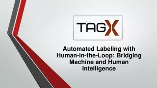 Automated Labeling with Human-in-the-Loop Bridging Machine and Human Intelligence