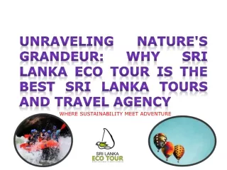 Unraveling Nature's Grandeur Why Sri Lanka Eco Tour is the Best Sri Lanka Tours and Travel Agency