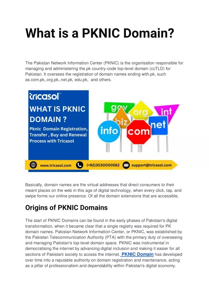 what is a pknic domain