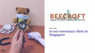 Veterinary Endoscopy & Internal Medicine Specialist for Cats & Dogs
