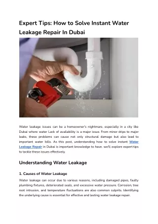 Expert Tips_ How to Solve Instant Water Leakage Repair In Dubai