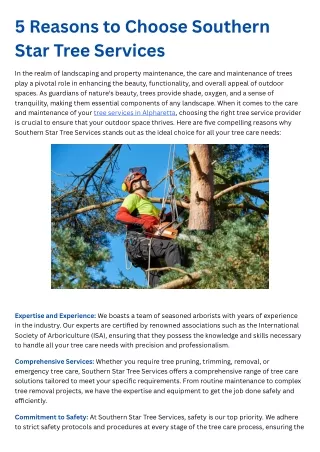 5 Reasons to Choose Southern Star Tree Services