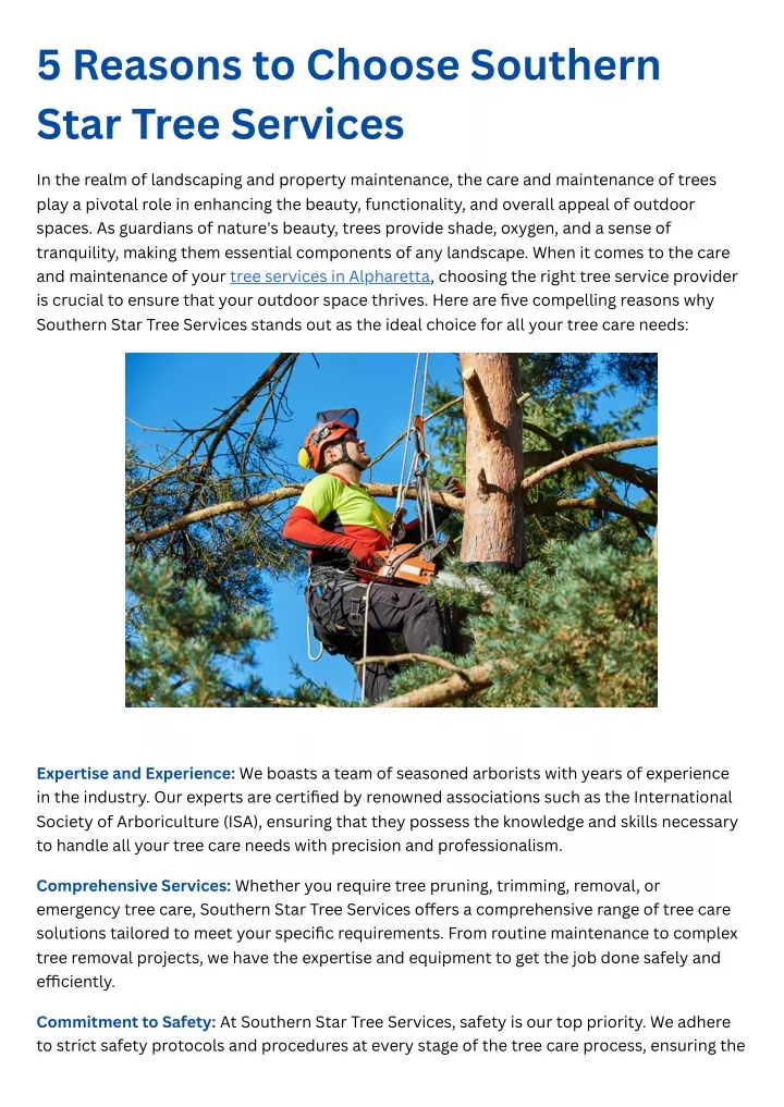 5 reasons to choose southern star tree services