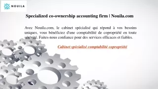 Specialized co-ownership accounting firm Nouila.com