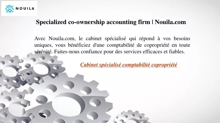 specialized co ownership accounting firm nouila