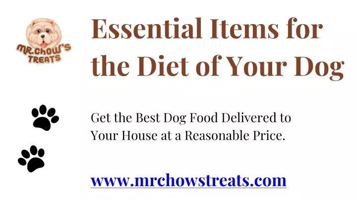 essential items for the diet of your dog
