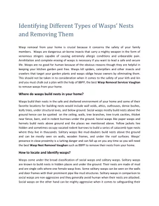 Identifying Different Types of Wasps’ Nests and Removing Them