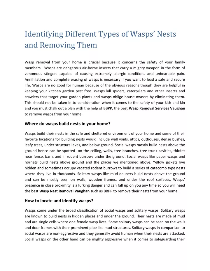 identifying different type s of wasps nests