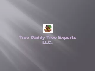 Tree Trimming Experts | Tree Daddy Tree Experts