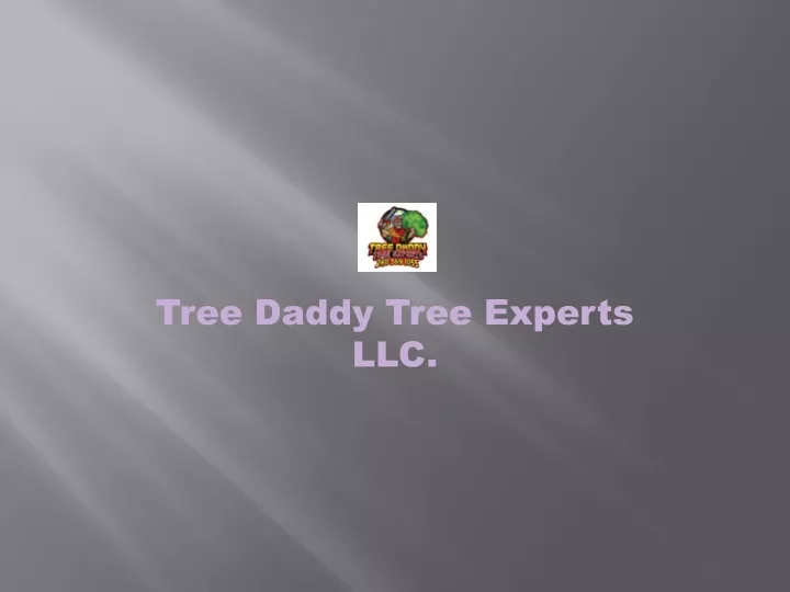 tree daddy tree experts llc