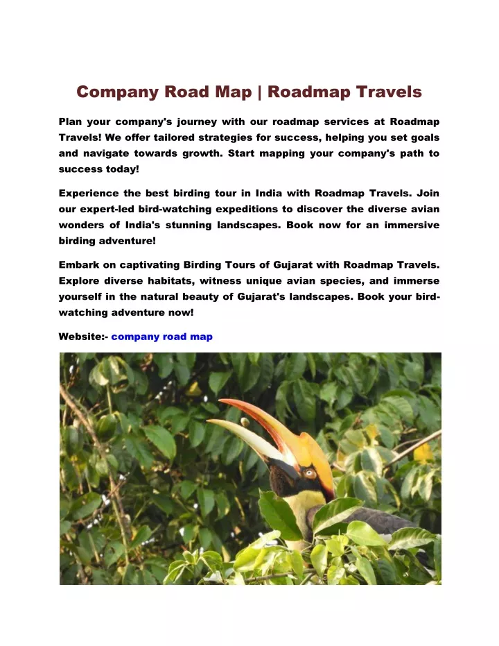 company road map roadmap travels