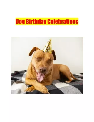Dog Birthday Celebrations