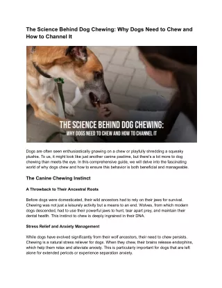 The Science Behind Dog Chewing_ Why Dogs Need to Chew and How to Channel It