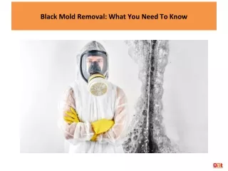 Black Mold Removal: What You Need To Know