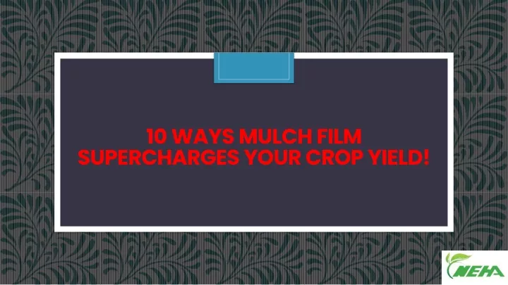10 ways mulch film supercharges your crop yield