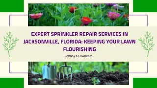 Expert Sprinkler Repair Services in Jacksonville, Florida Keeping Your Lawn Flourishing