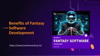 Benefits of Fantasy Software Development