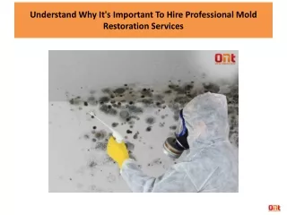 Understand Why It's Important To Hire Professional Mold Restoration Services