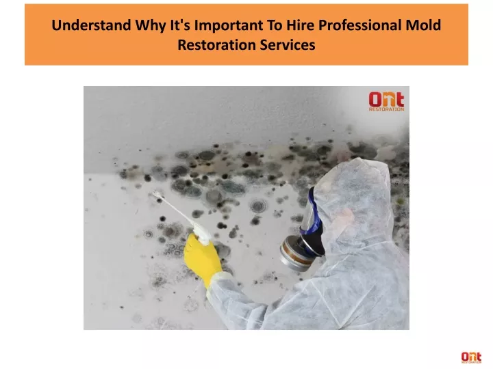 understand why it s important to hire professional mold restoration services