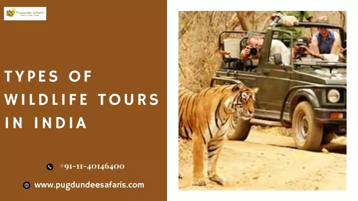 types of wildlife tours in india