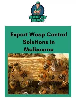 Expert Wasp Control Solutions in Melbourne