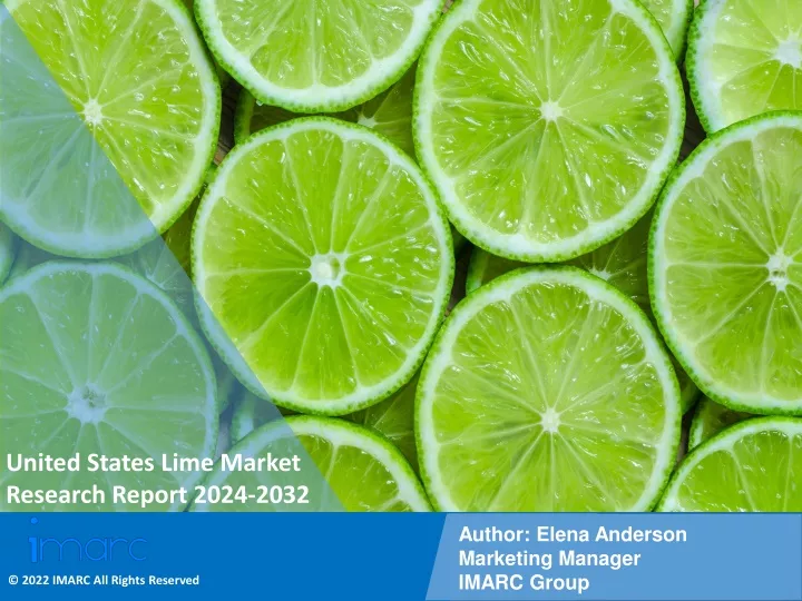 united states lime market research report 2024