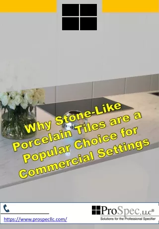 Why Stone-Like Porcelain Tiles are a Popular Choice for Commercial Settings