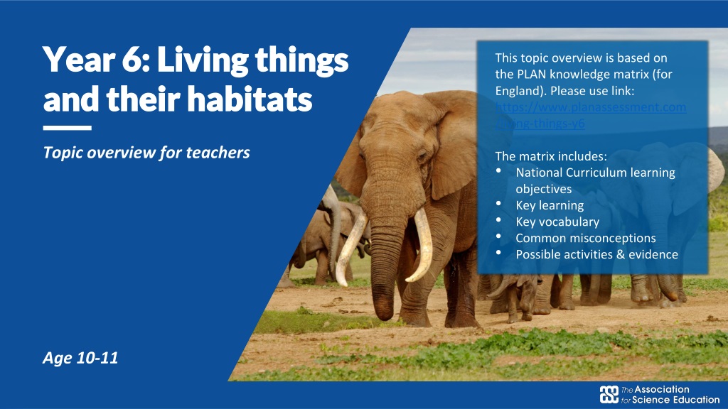 Exploring Living Things and Habitats in Year 6 Curriculum