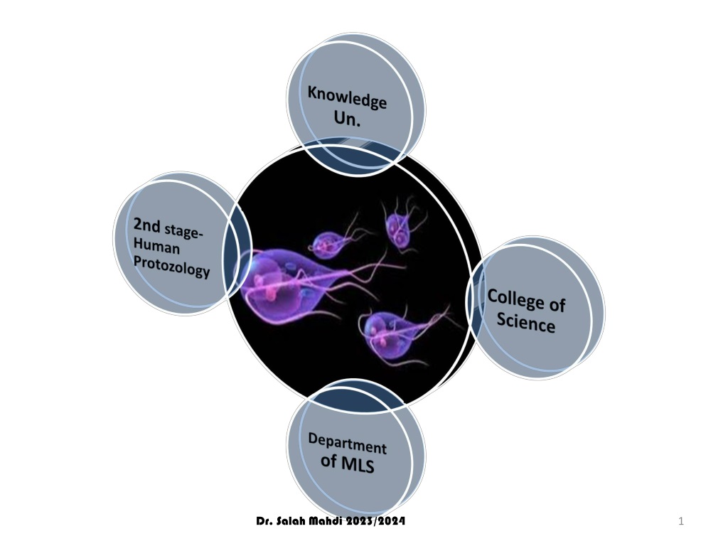 understanding protozoa classification and characteristics by dr salah mah