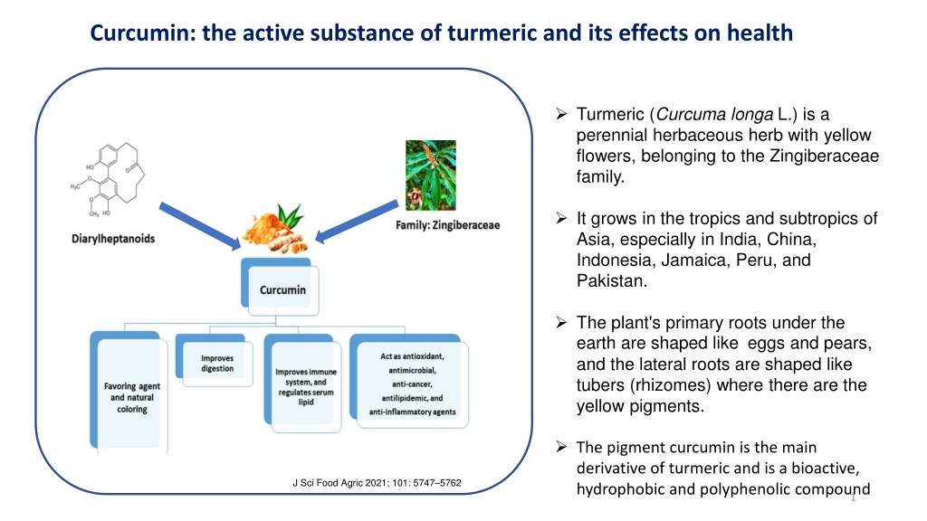 the health benefits of curcumin from turmer