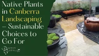 Native Plants in Canberra Landscaping - Sustainable Choices to Go For