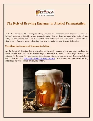 The Role of Brewing Enzymes in Alcohol Fermentation