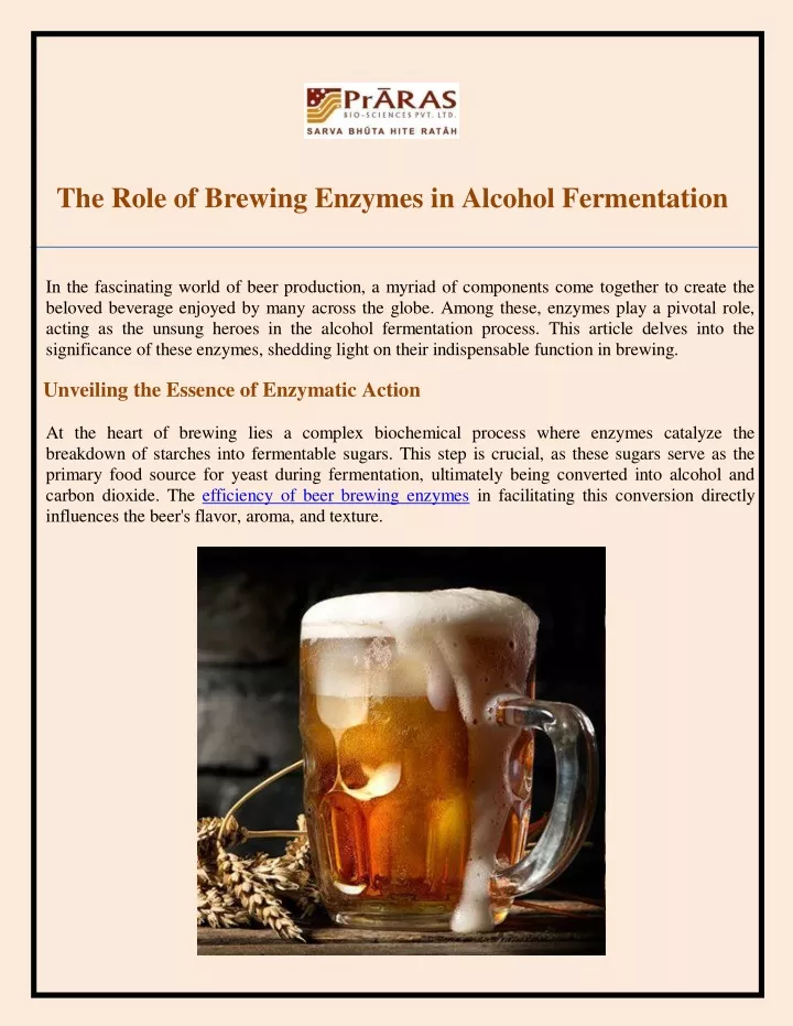 the role of brewing enzymes in alcohol