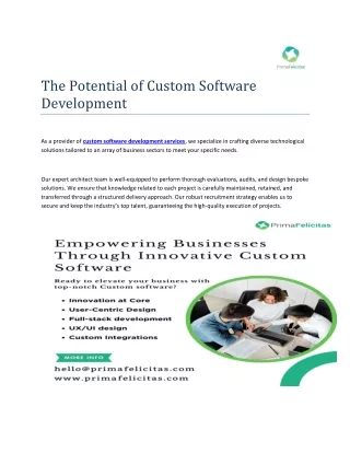 The Potential of Custom Software Development