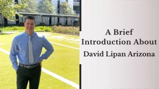 A Brief Introduction About David Lipan Arizona