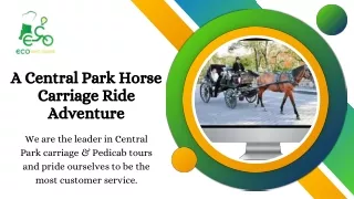Central Park Horse Carriage Ride