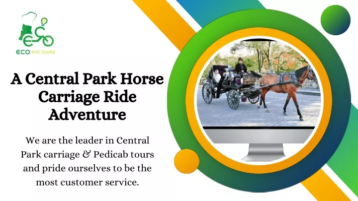 a central park horse carriage ride adventure